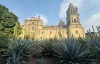 Hotel Unico