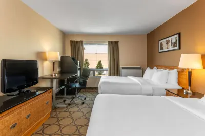 Comfort Inn Hotele w: 