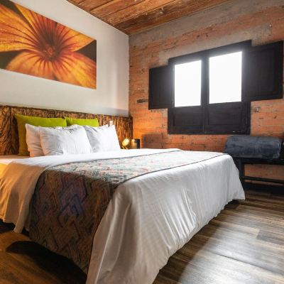 Senior Room Hotel Termales Del Ruiz Promo Code
