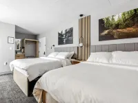 The Mulberry Hotels in Logan