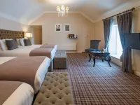 Dooly's Hotel Hotels in Offaly