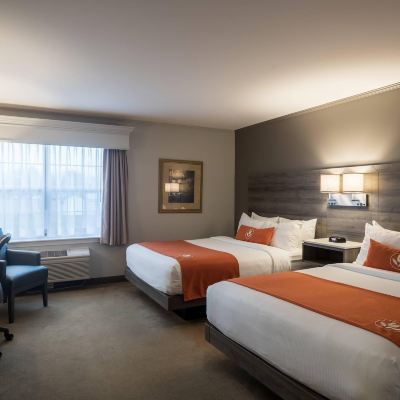 Standard Room, 2 Queen Beds, Non Smoking Amsterdam Inn & Suites Moncton Promo Code