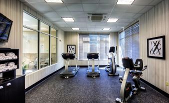 a well - equipped exercise room with a variety of fitness equipment , including treadmills , weight machines , and stationary bikes at Holiday Inn Richmond