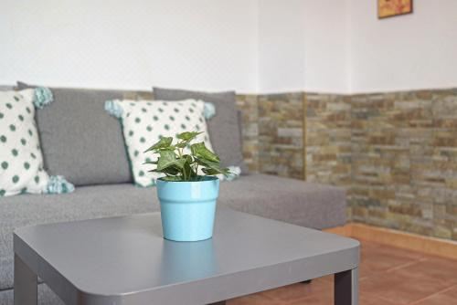 三人间 - 带淋浴