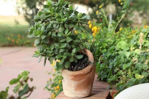 双人房（带独立浴室）