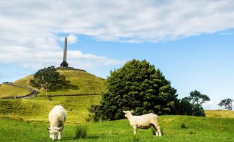 two sheep are grazing in a grassy field with a tall monument in the background at Flat Bush Holiday Accomodation