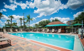 Comfort Inn & Suites Kissimmee by the Parks