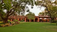 Last Word Madikwe