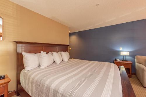 一卧室一室公寓