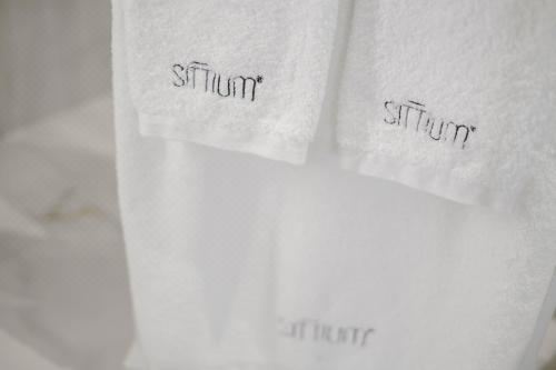 Sittium Two-Bedroom Apartment