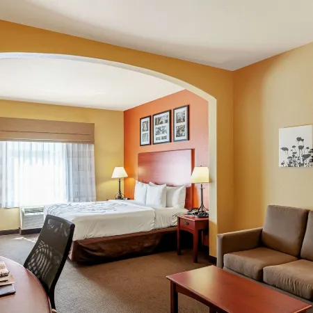 Sleep Inn & Suites Tyler South