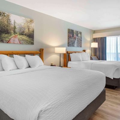 2 Queen Beds Room, Non-Smoking Three Bears Resort Promo Code
