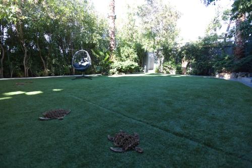 海景豪华双人房