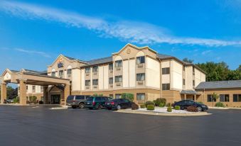 Comfort Inn & Suites - Jackson