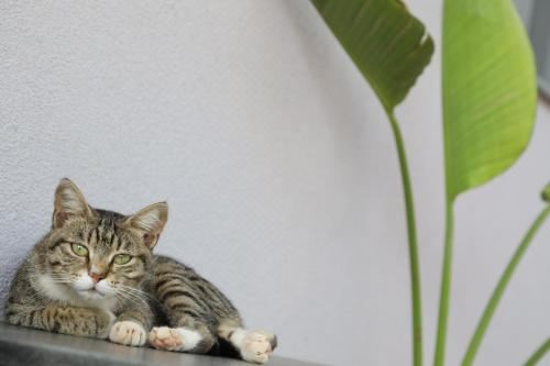 双人房（带独立浴室）