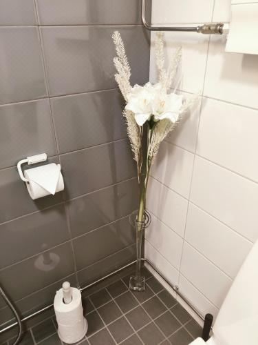 一卧室公寓