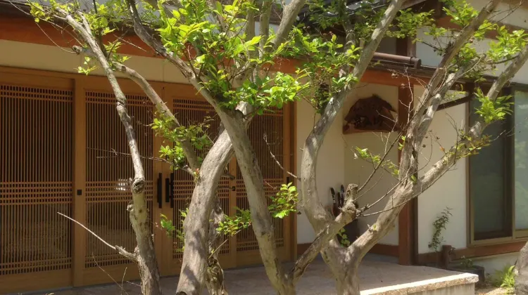 Chisanaoyado Senkobo 外観