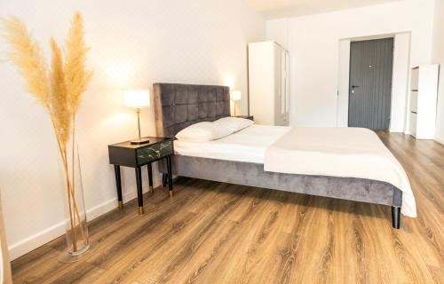 Walter Studio Sinaia One-Bedroom Apartment