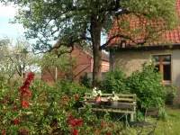 Vacation room Apfelbaum at the Hollerhof-Oderbruch