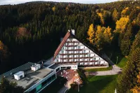 Hotel Ski Отели в г. 