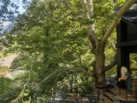 Aoos River Treehouse Hotels in Konitsa