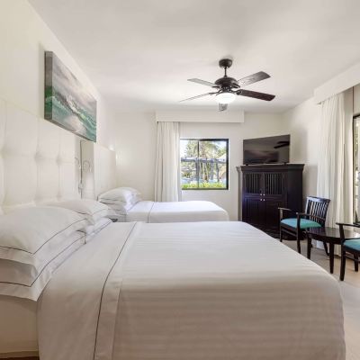 Superior Room Allegro Playacar - All Inclusive Promo Code