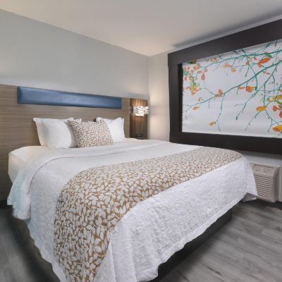 Standard King Room-Non-Smoking Brookstone Lodge Promo Code