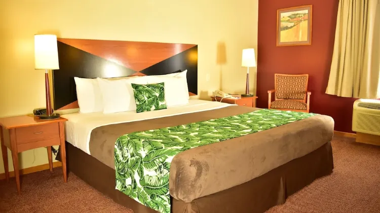 Sleep Inn Hotel Paseo Las Damas Room