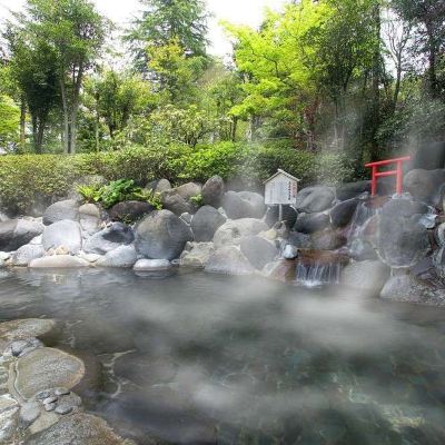 和室(バス無し） アクティブリゾーツ 霧島 クーポン