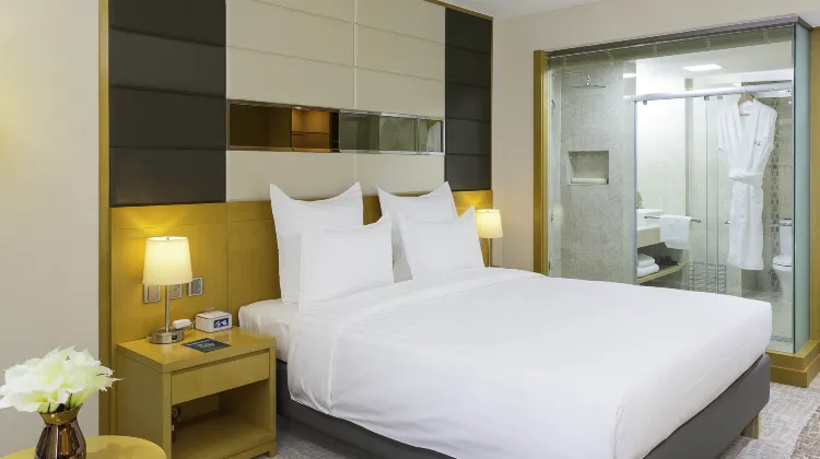 Novotel Ulaanbaatar 部屋