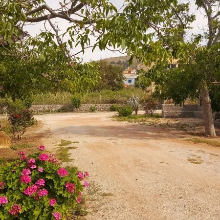 Agroktima