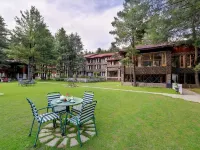 Welcomhotel by ITC Hotels, Pine N Peak, Pahalgam Ξενοδοχεία στην πόλη Pahalgam
