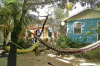 The Funky Dodo Backpackers Hostel โรงแรมใน