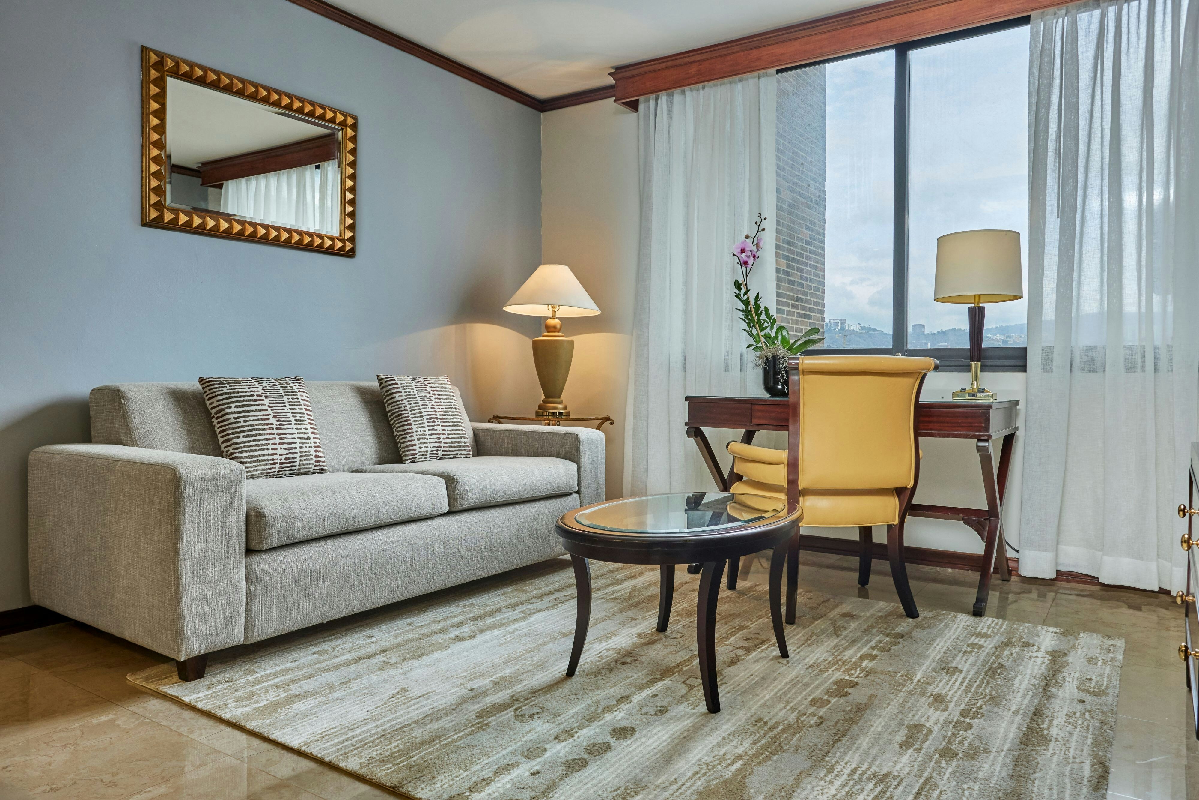 One Bedroom Executive Suite With City View