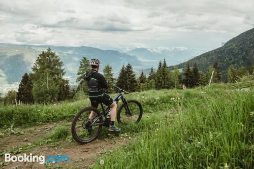 Apartment Andreas - Gallhof Superior Two-Bedroom Apartment