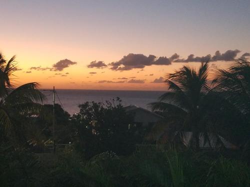 别墅（带独立泳池）