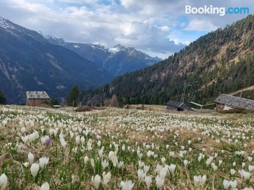 一卧室公寓 - 带露台