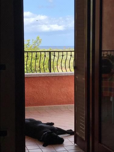 海景和泳池景观双床或大床房