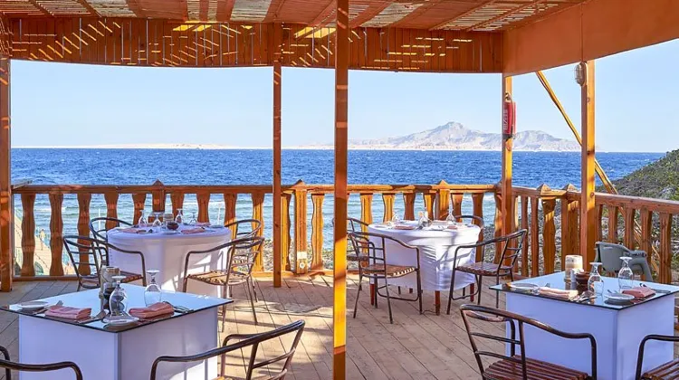 Parrotel Beach Resort Dining/Restaurant