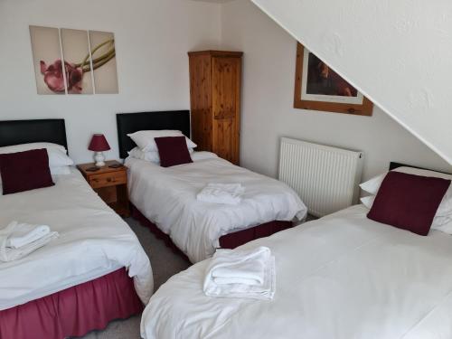 三人房（带独立浴室）