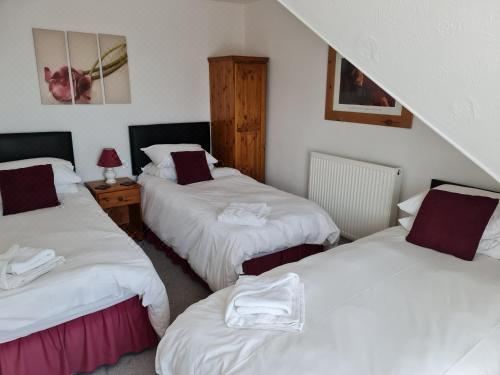 三人房（带独立浴室）