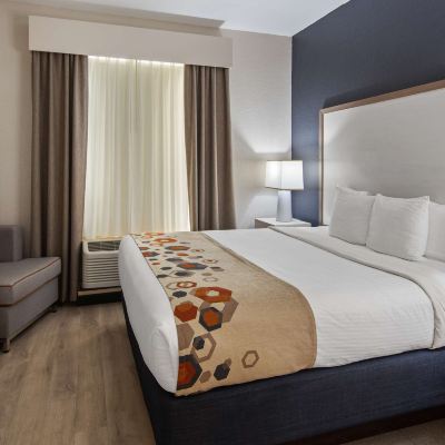 1 King Bed, Non-Smoking, High Speed Internet Access, Sofabed, Microwave, Refrigerator Best Western Heritage Inn and Suites Promo Code