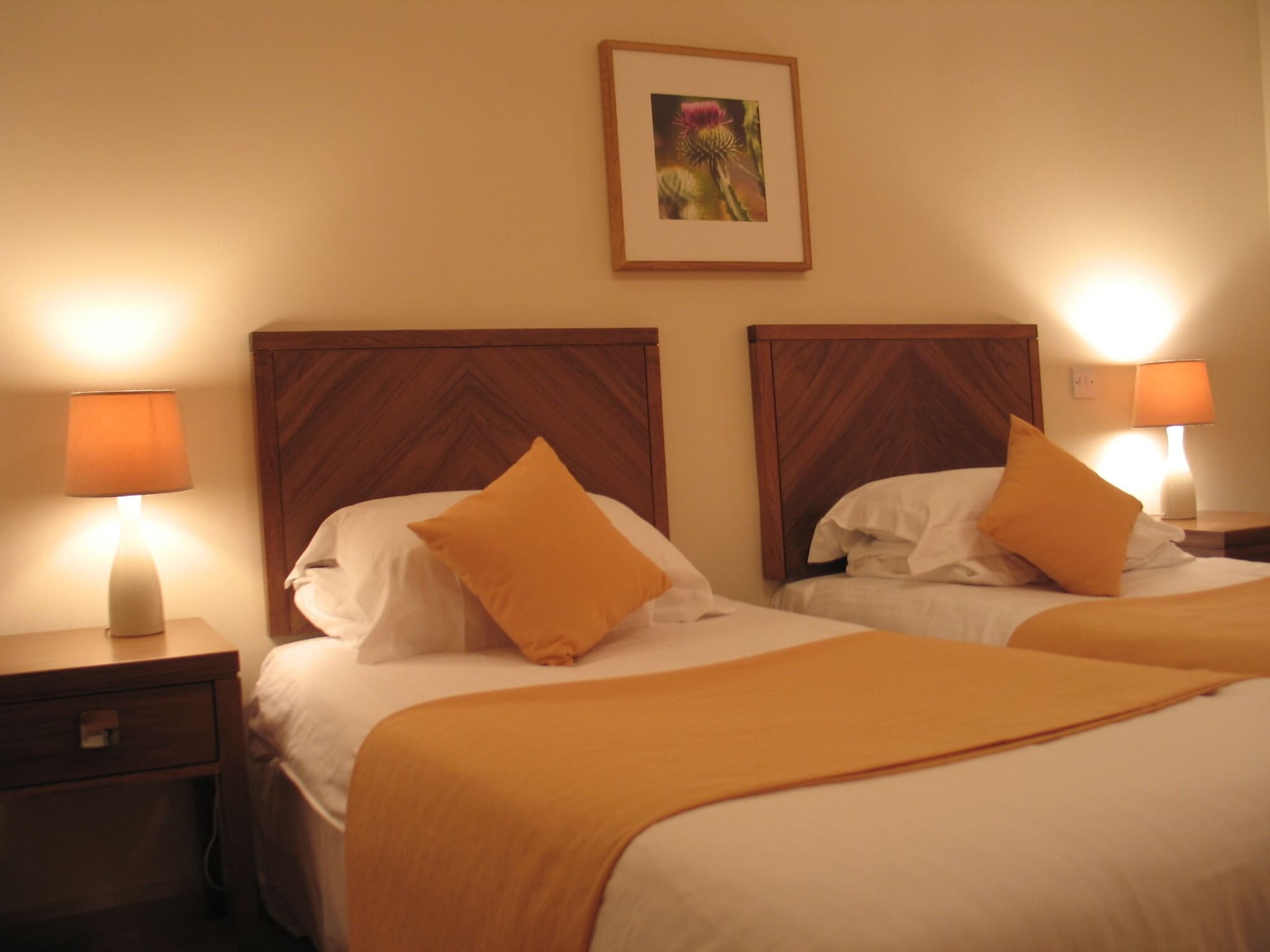 标准两卧室公寓