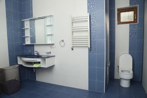 高级公寓（带桑拿浴室）