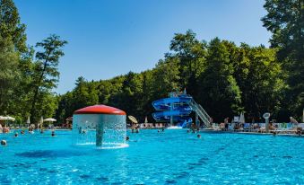 Hotel Toplice - Terme Krka - Housity