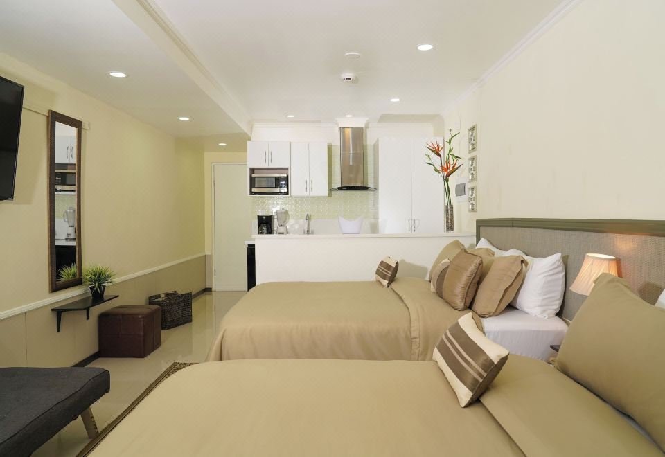 豪华一室公寓 - 10