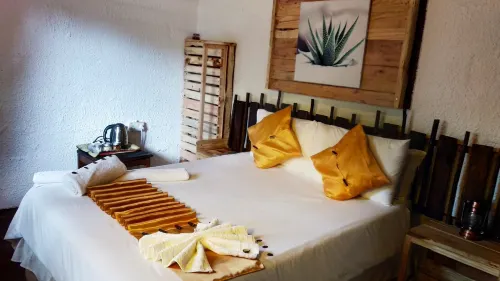 Elephant Trail Guesthouse and Backpackers