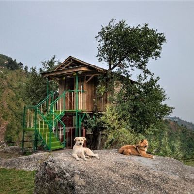 Tree House Triund Camps Riverside Resort Promo Code