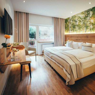 Standard Double Room Landidyll Hotel Weidenbrück Promo Code
