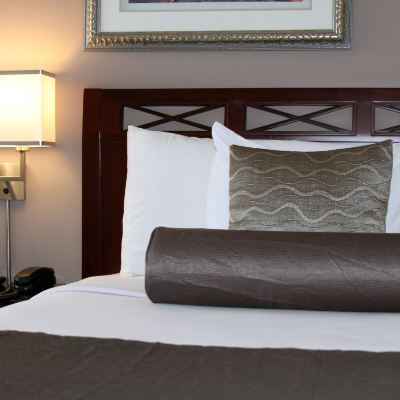 大床一室公寓帶廚房 維多利亞紅獅套房酒店優惠